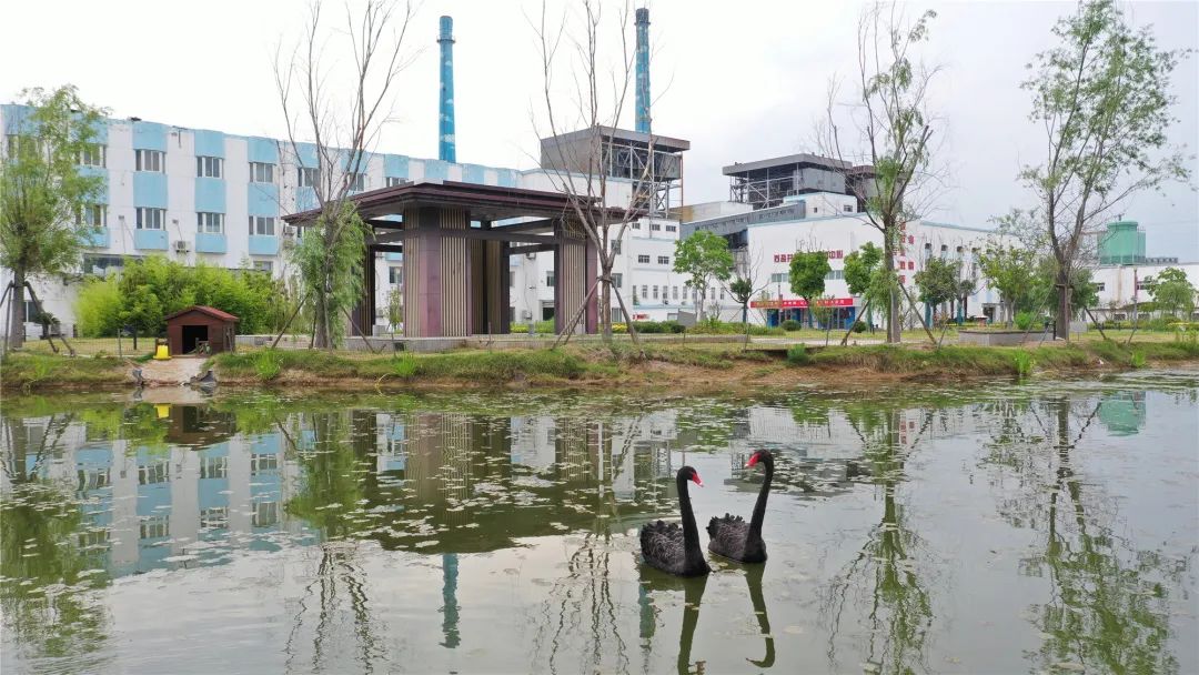 ug环球井神公司丨绘就“低碳”底色 擦亮“绿色”名片