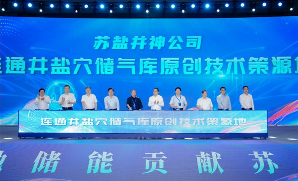 筑梦深地 原创策源丨ug环球集团举办盐矿深地储能成果发布暨学术研讨会